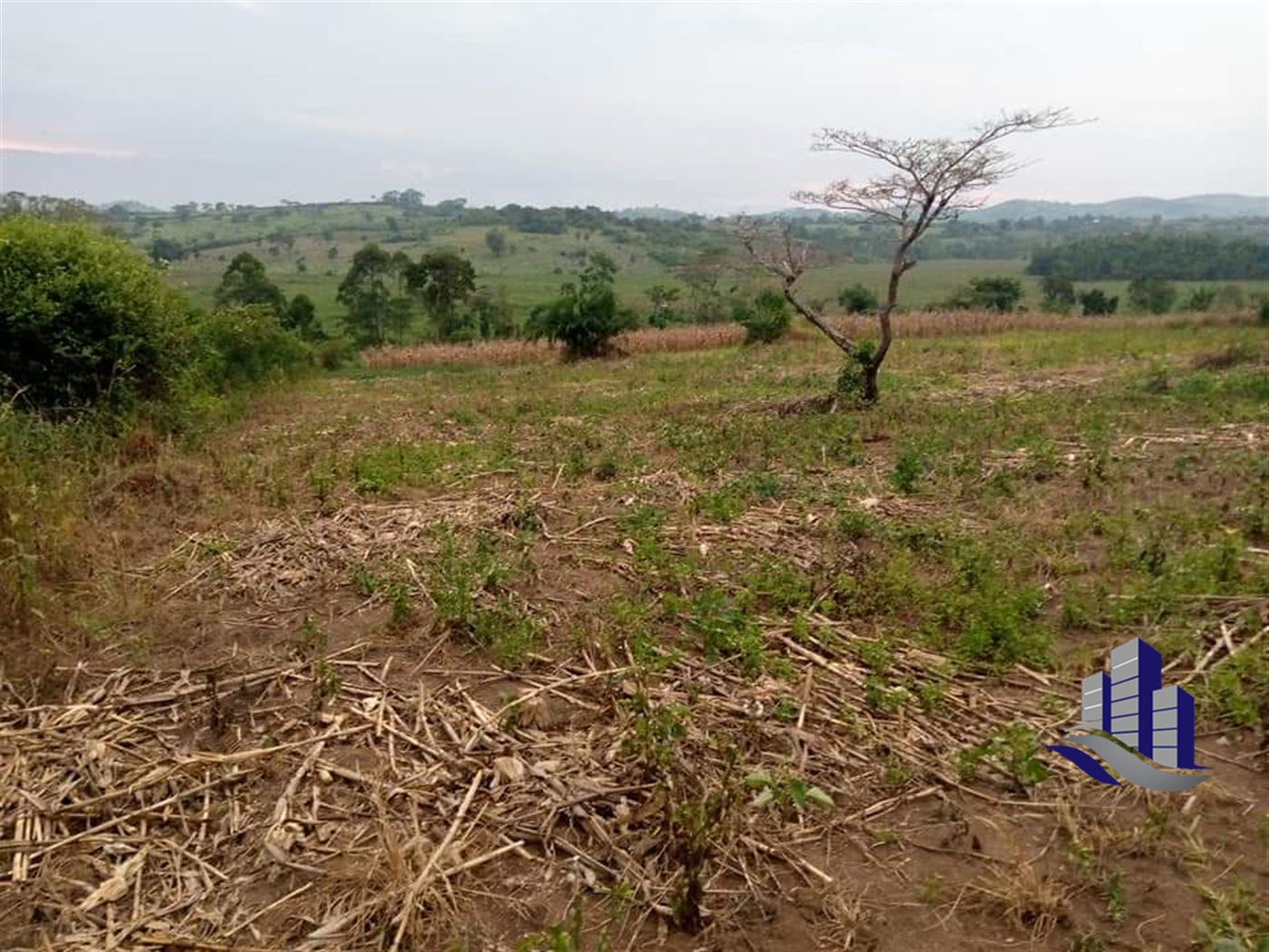 Multipurpose Land for sale in Rwamwanja Kamwenge