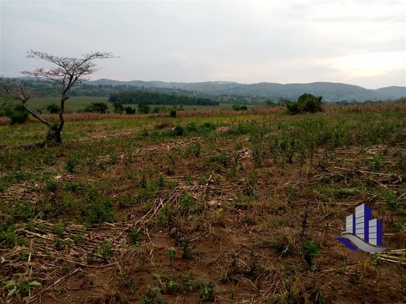 Multipurpose Land for sale in Rwamwanja Kamwenge