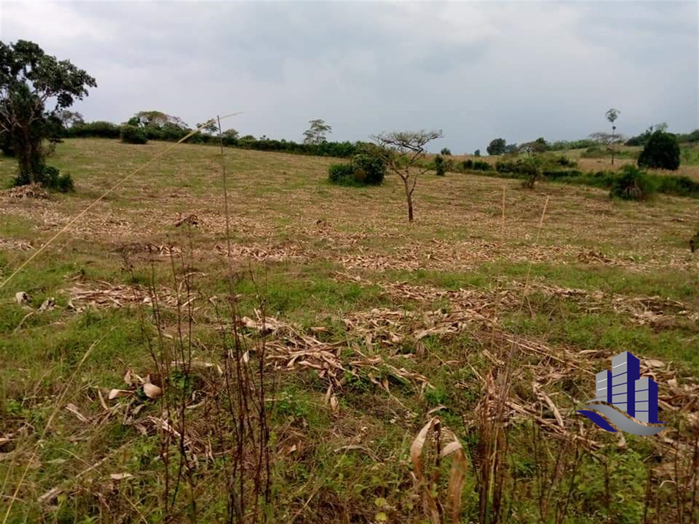 Multipurpose Land for sale in Rwamwanja Kamwenge