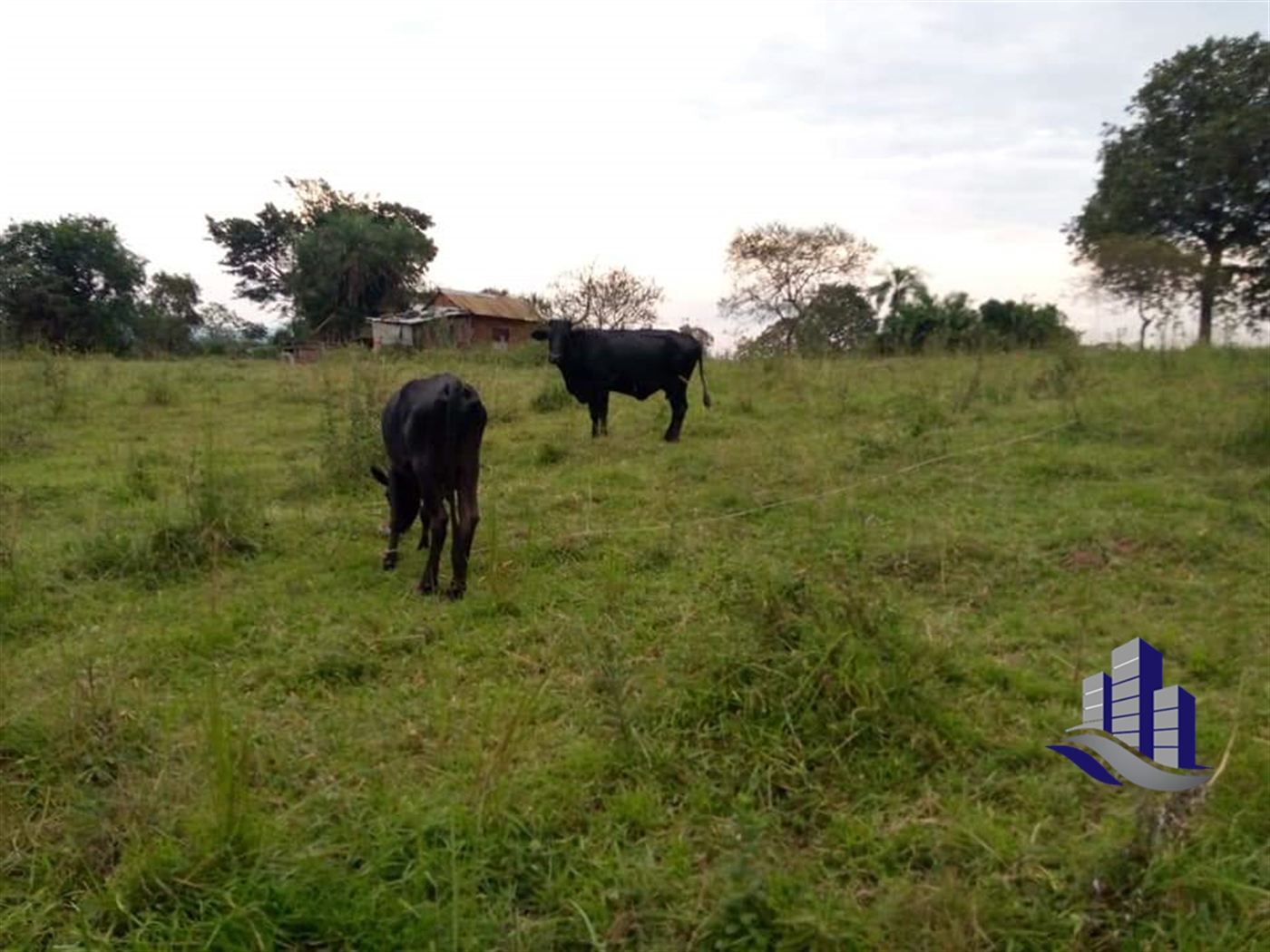 Multipurpose Land for sale in Rwamwanja Kamwenge