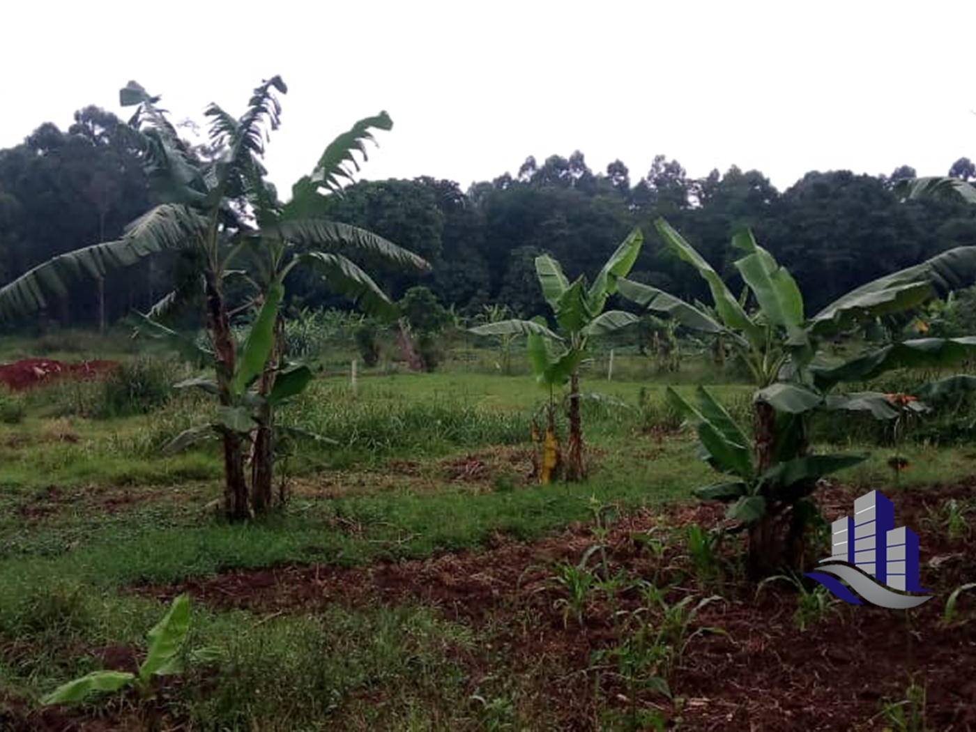 Multipurpose Land for sale in Kungu Wakiso