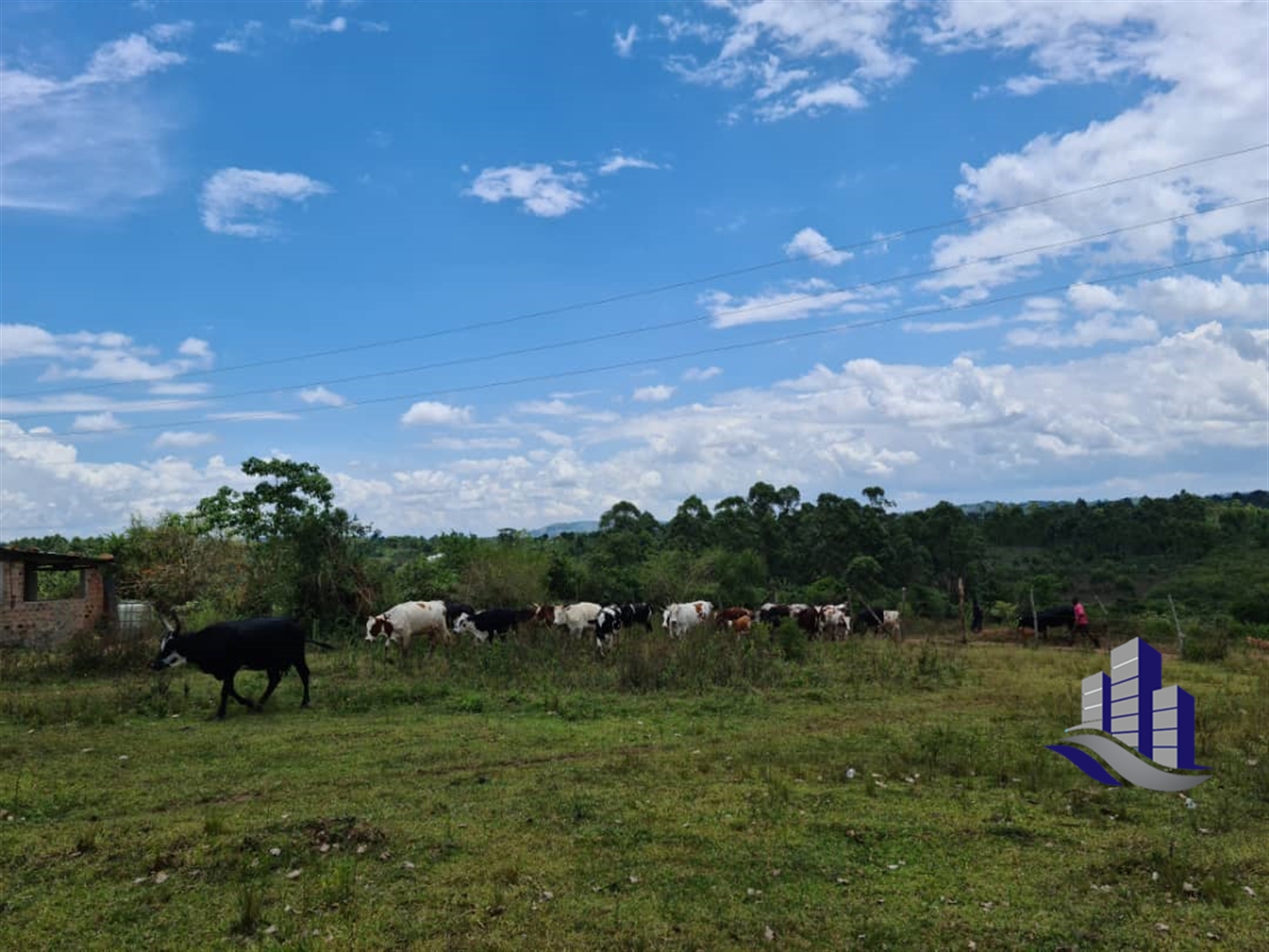 Multipurpose Land for sale in Kiwawu Mityana