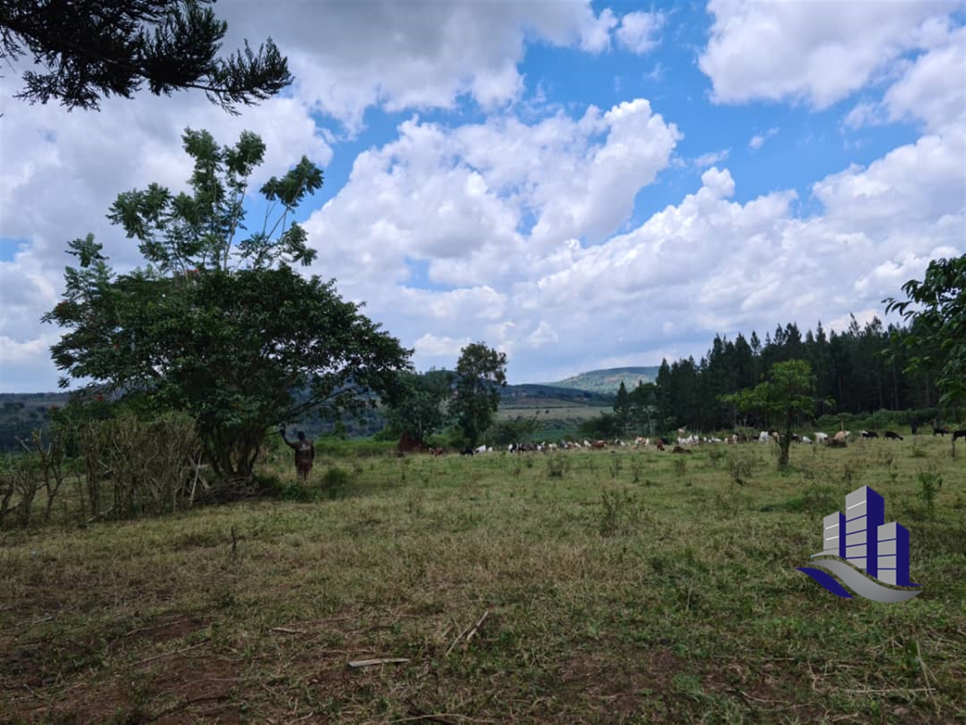 Multipurpose Land for sale in Kiwawu Mityana