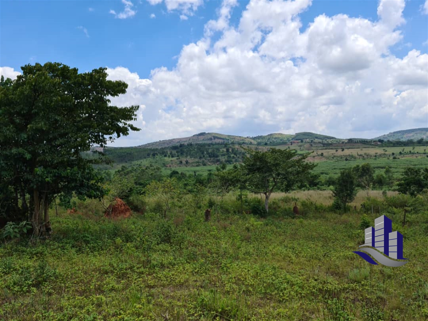 Multipurpose Land for sale in Kiwawu Mityana