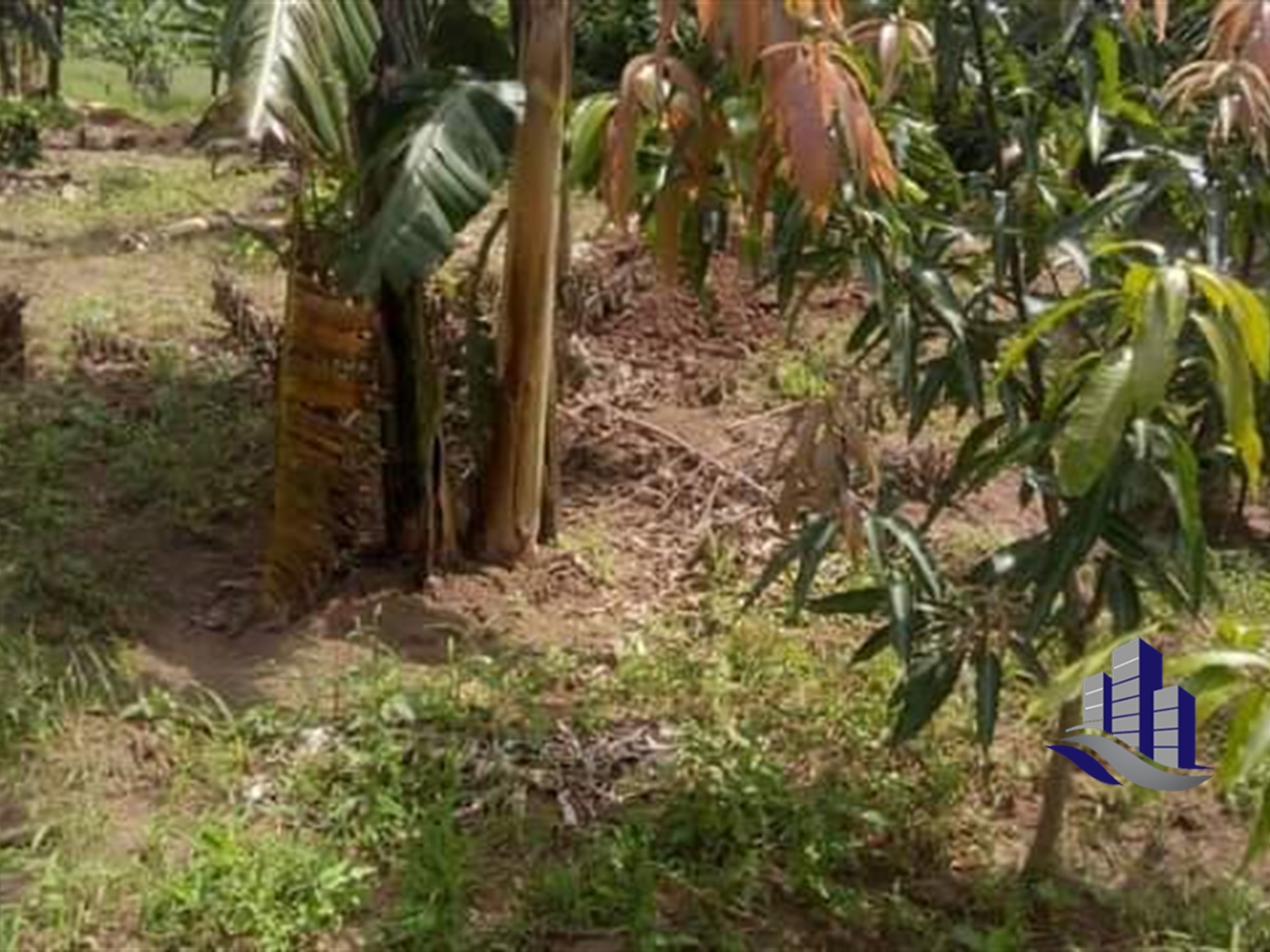 Multipurpose Land for sale in Katuugo Luweero