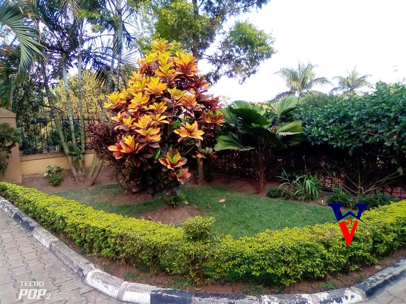 Apartment for rent in Kololo Kampala