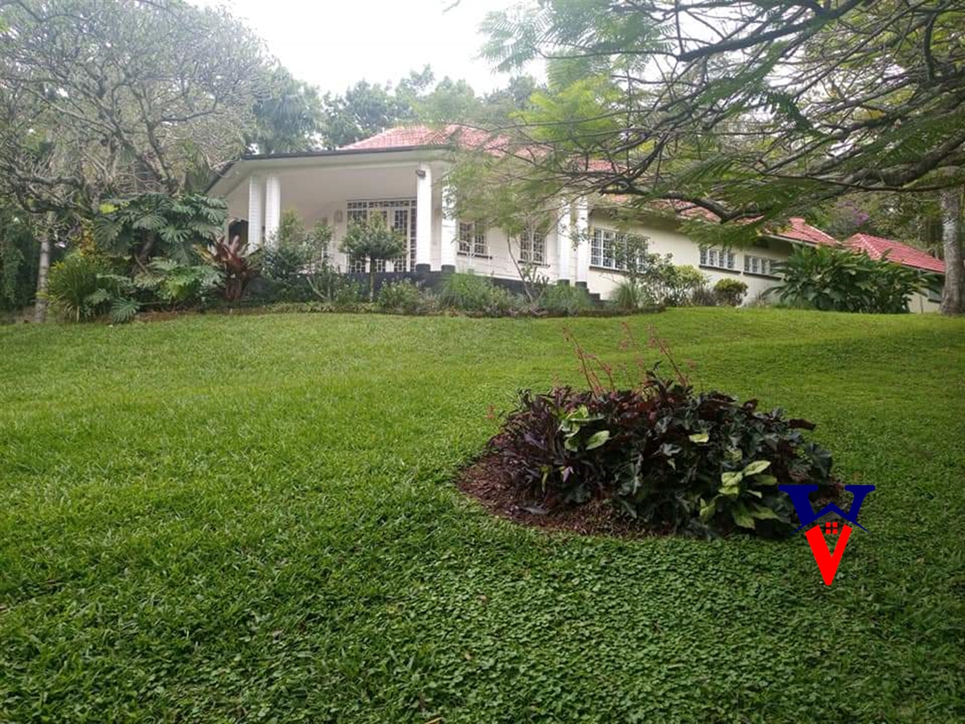 Bungalow for rent in Kololo Kampala