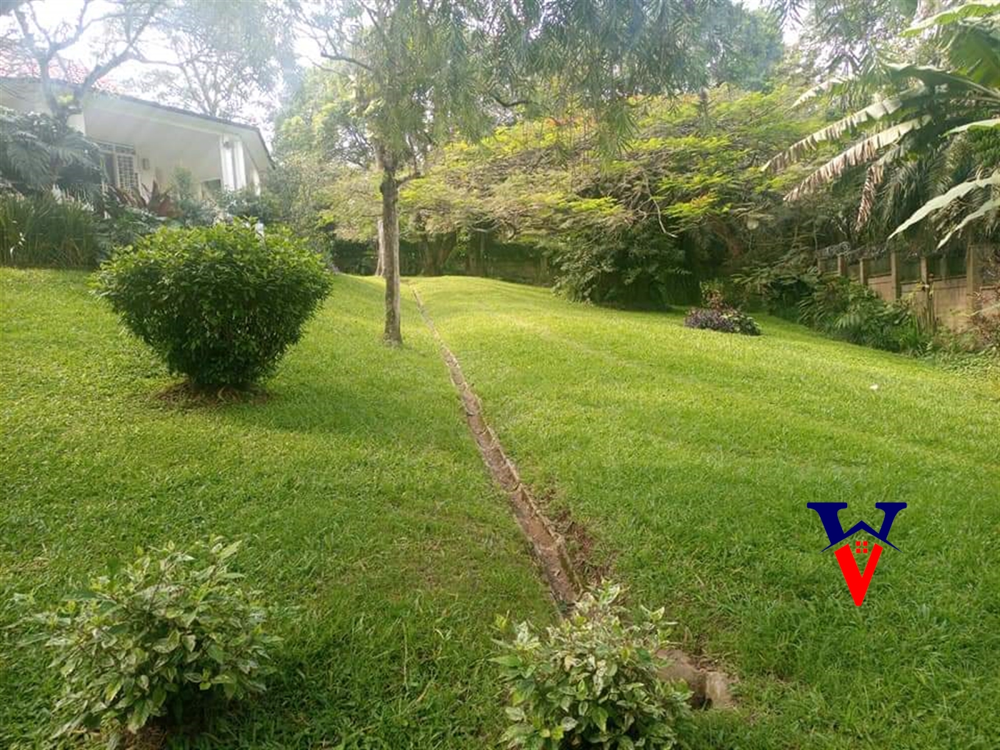 Bungalow for rent in Kololo Kampala