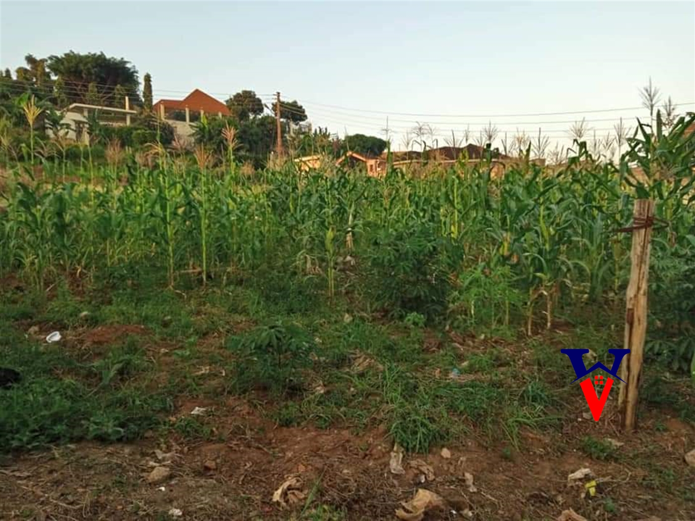 Residential Land for sale in Kisaasi Kampala