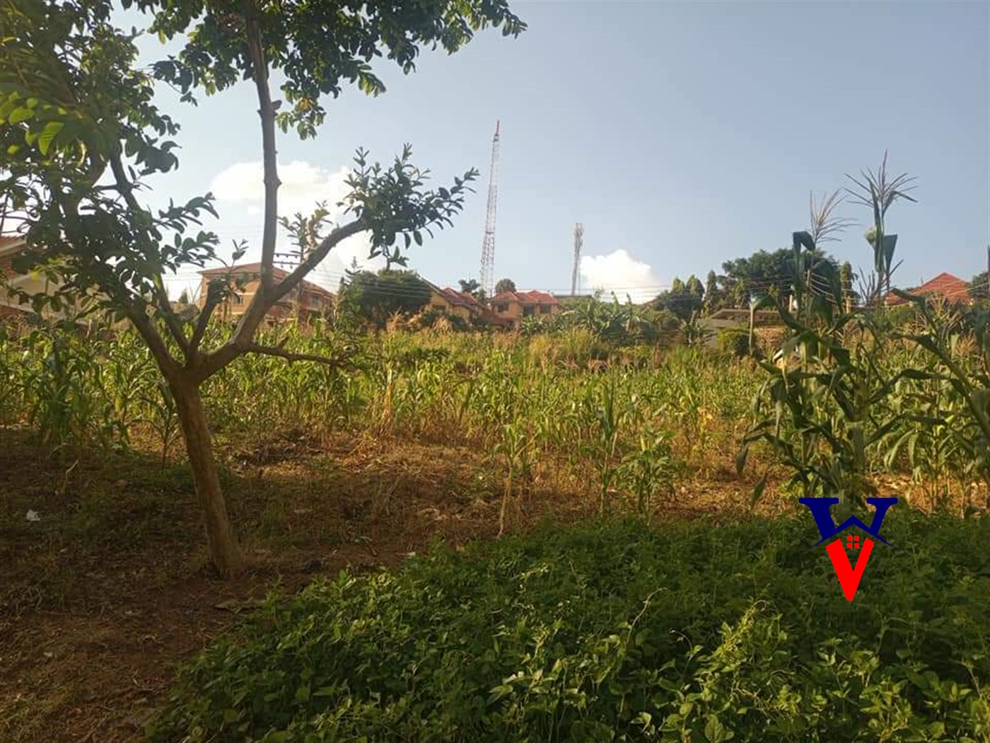 Residential Land for sale in Kisaasi Kampala