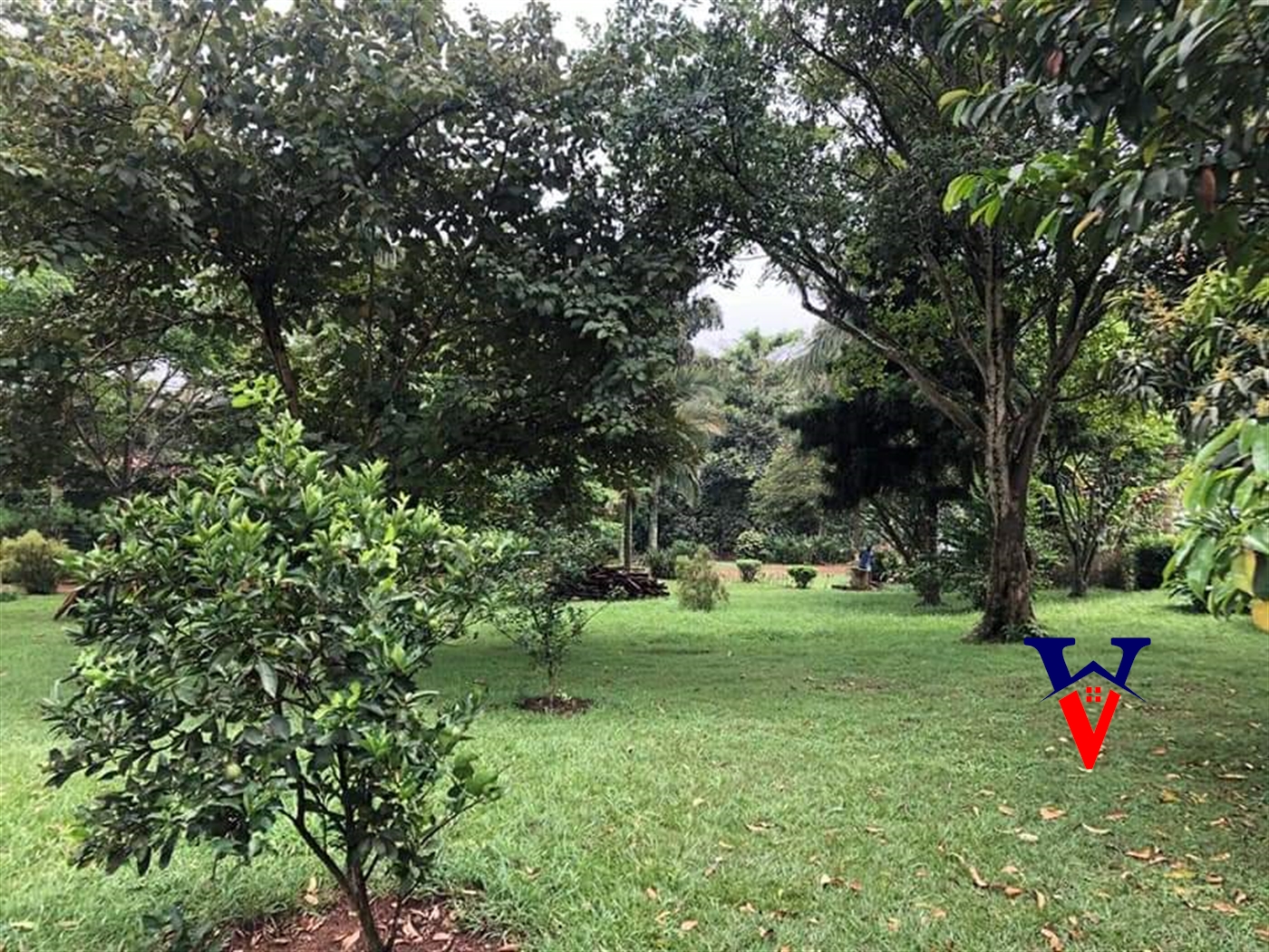 Residential Land for sale in Nile Jinja