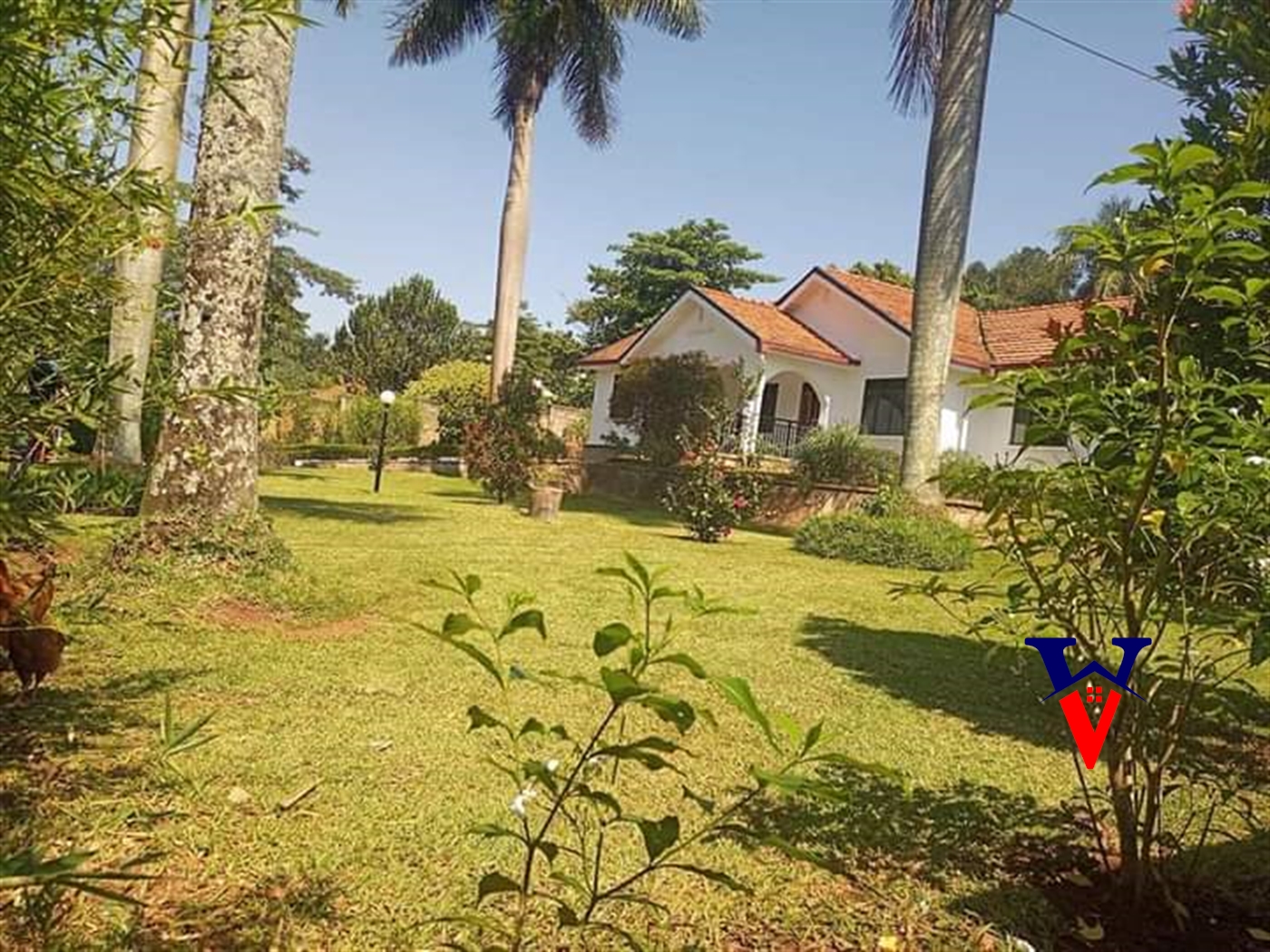 Bungalow for rent in Muyenga Kampala