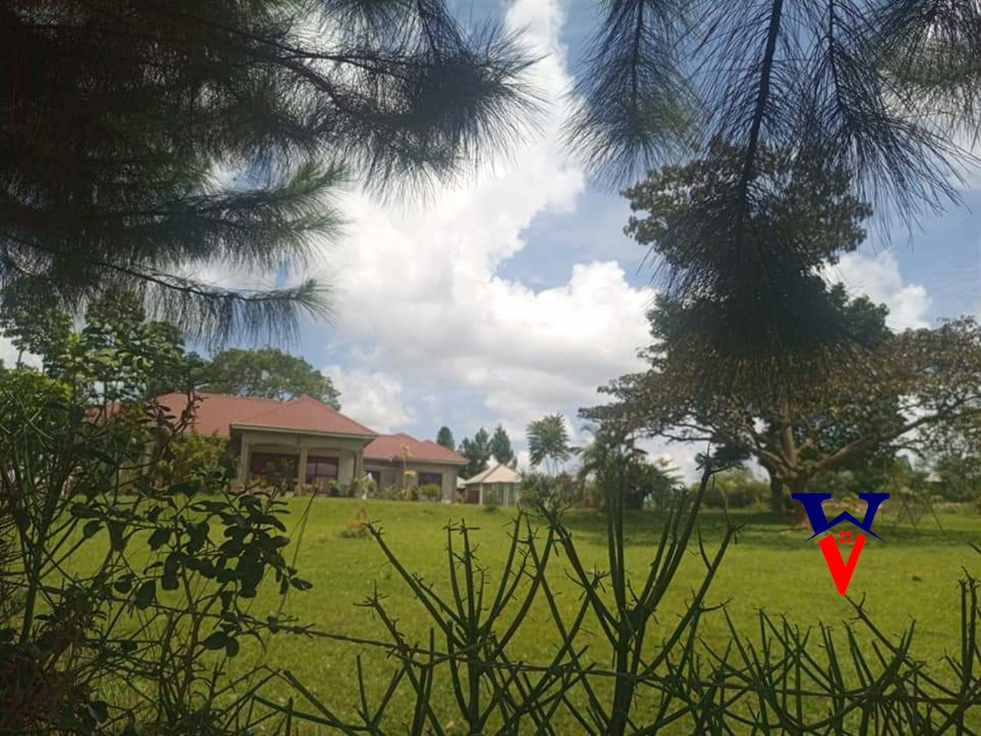 Farm for sale in Nakosi Mukono