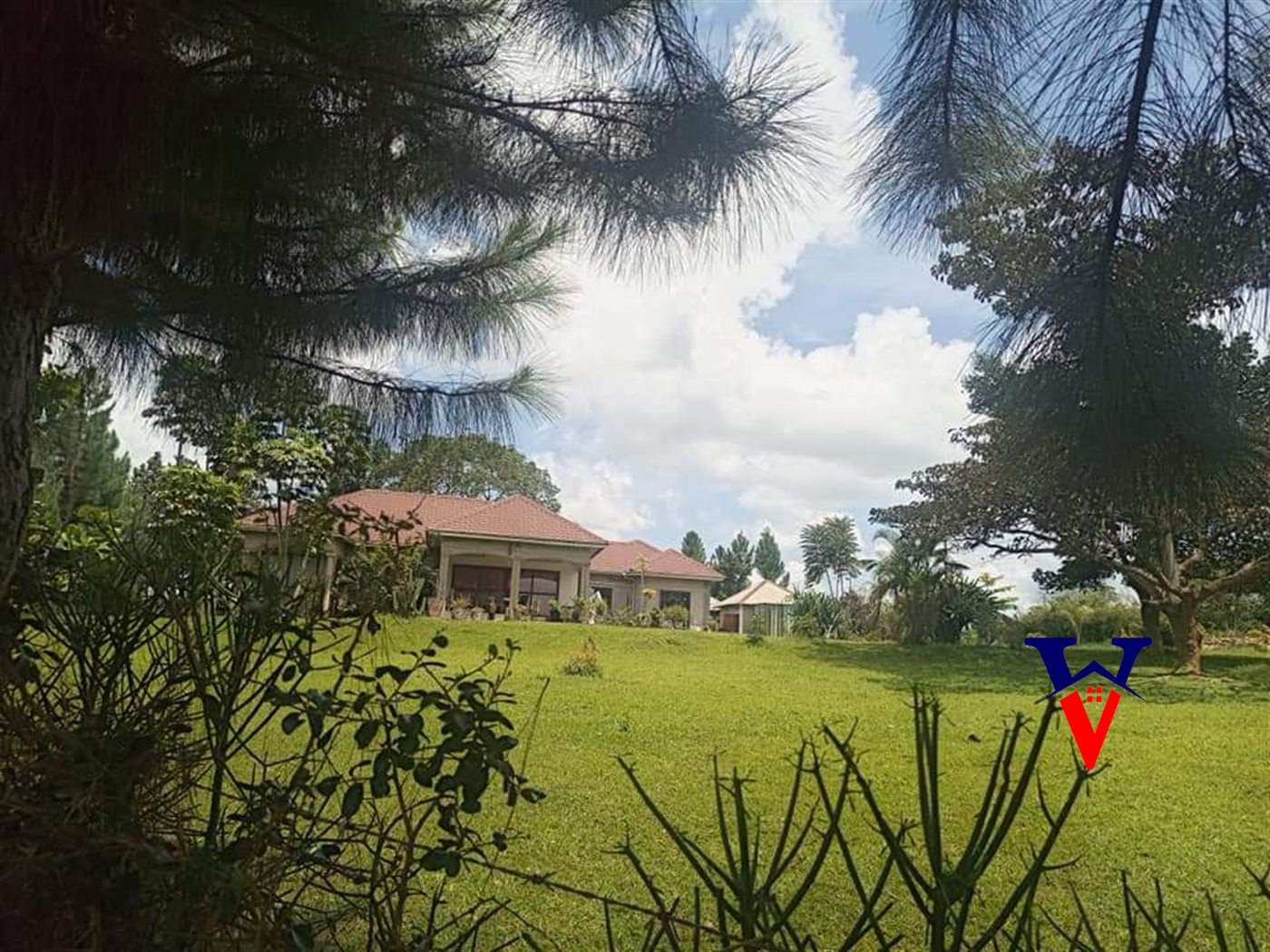 Farm for sale in Nakosi Mukono