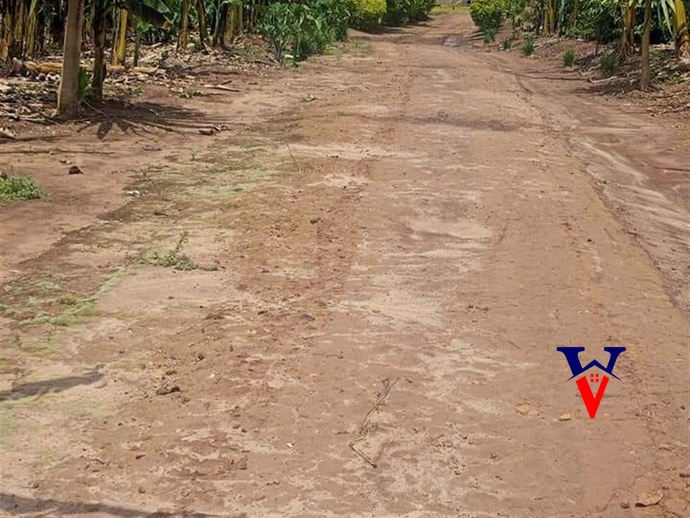 Farm for sale in Nakosi Mukono