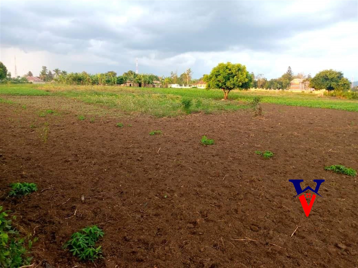 Commercial Land for sale in Mbale Mbaale