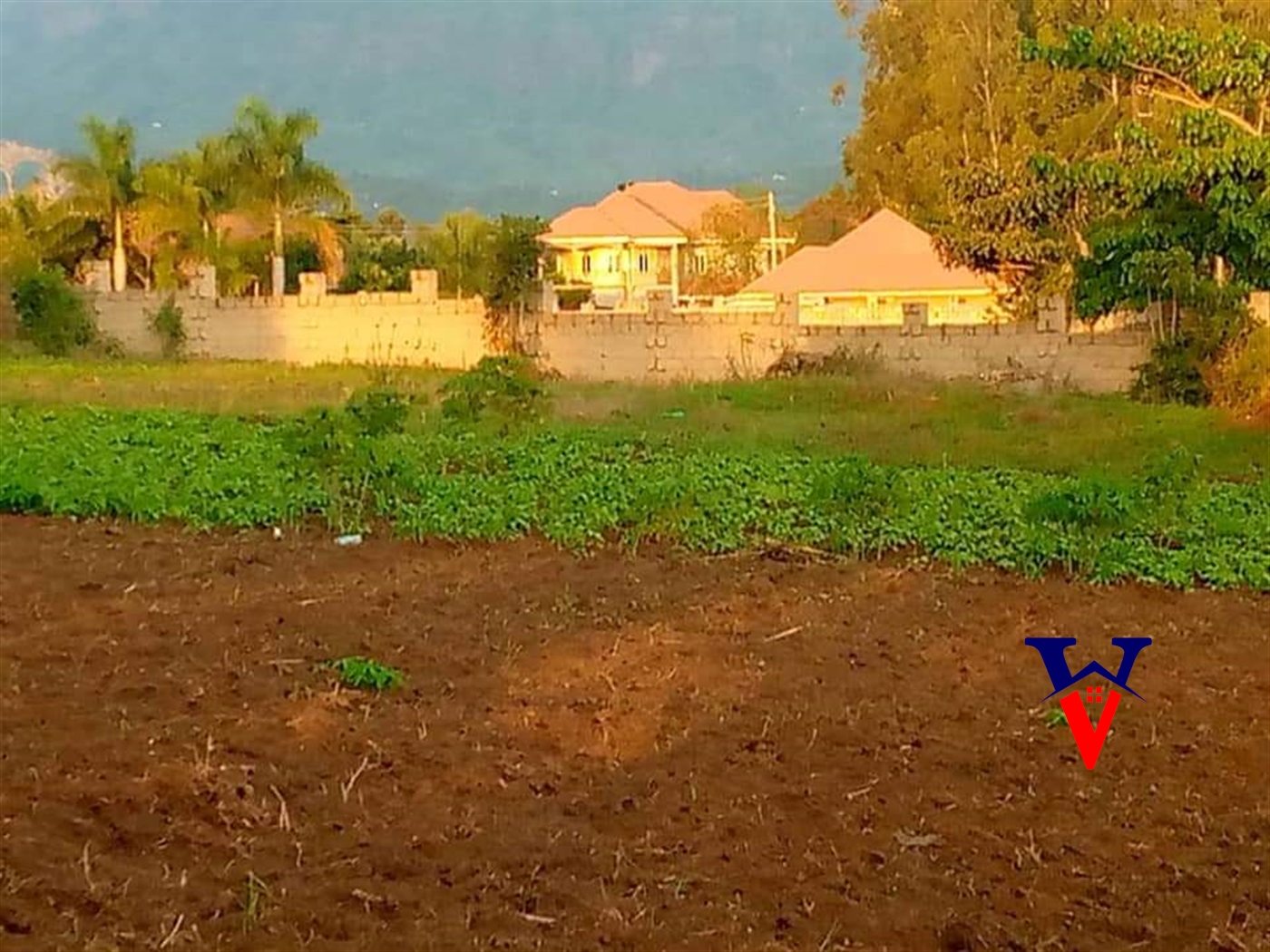 Commercial Land for sale in Mbale Mbaale