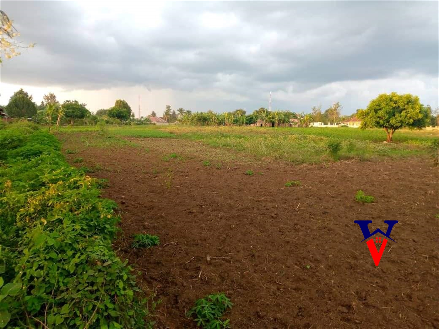 Commercial Land for sale in Mbale Mbaale