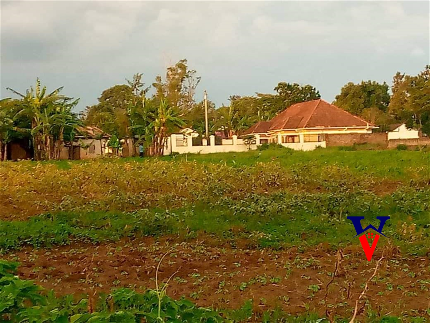 Commercial Land for sale in Mbale Mbaale