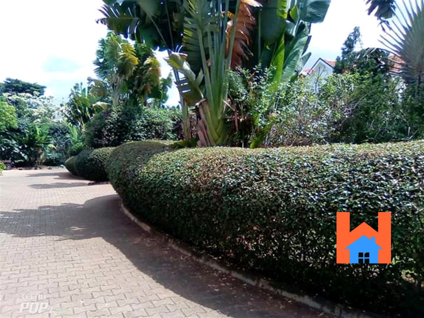 Town House for rent in Kololo Kampala