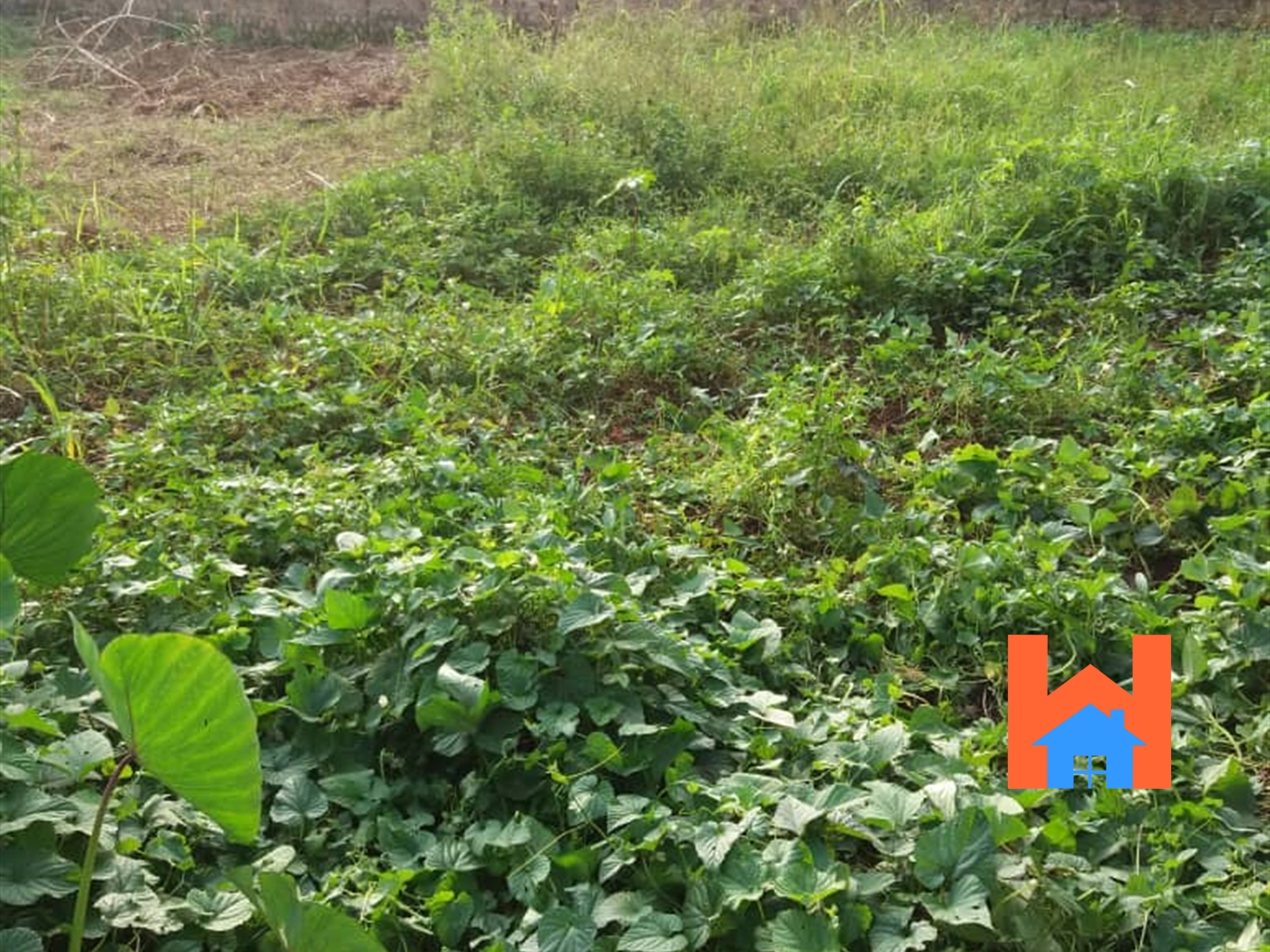 Residential Land for sale in Kulambilo Kampala