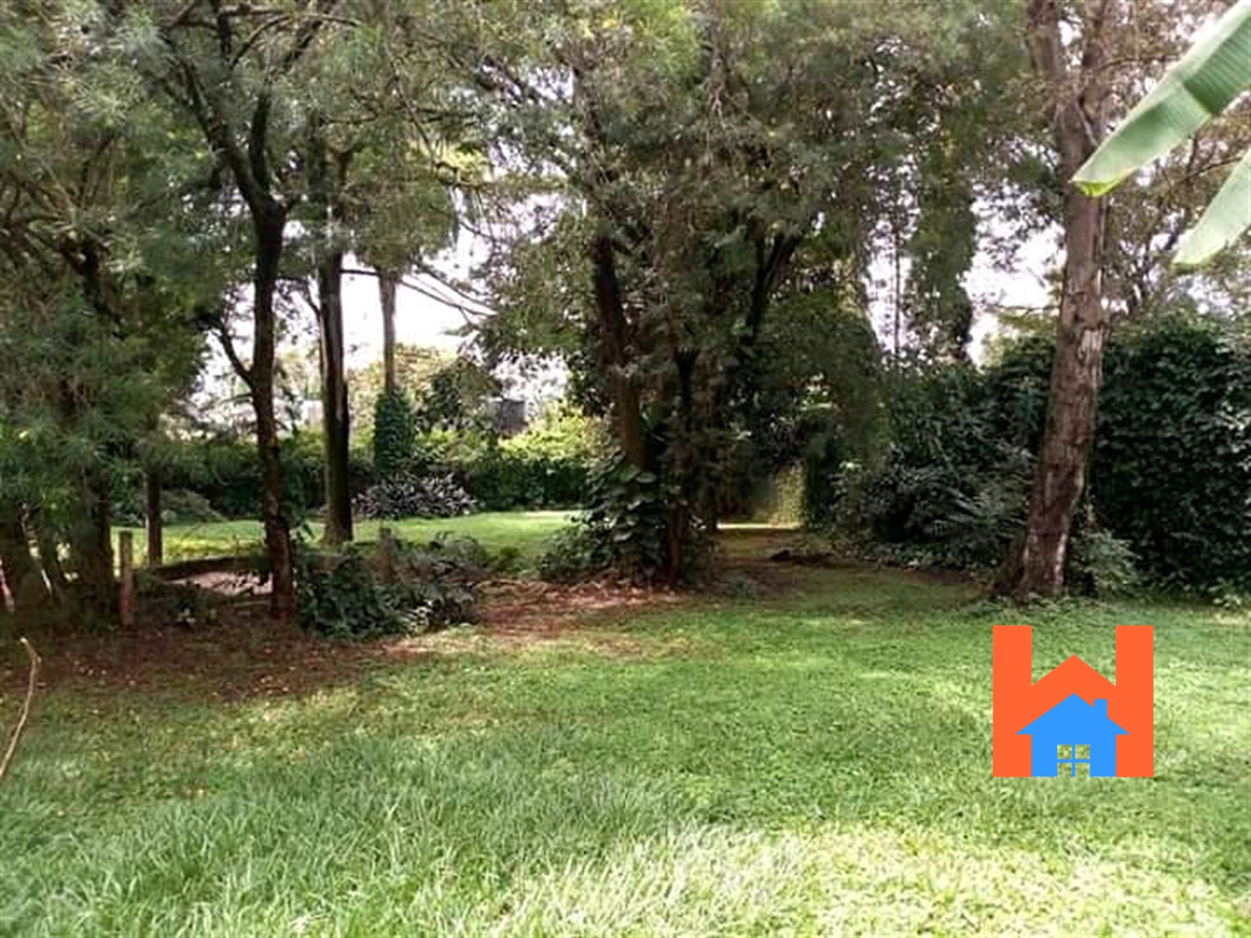 Bungalow for rent in Kololo Kampala