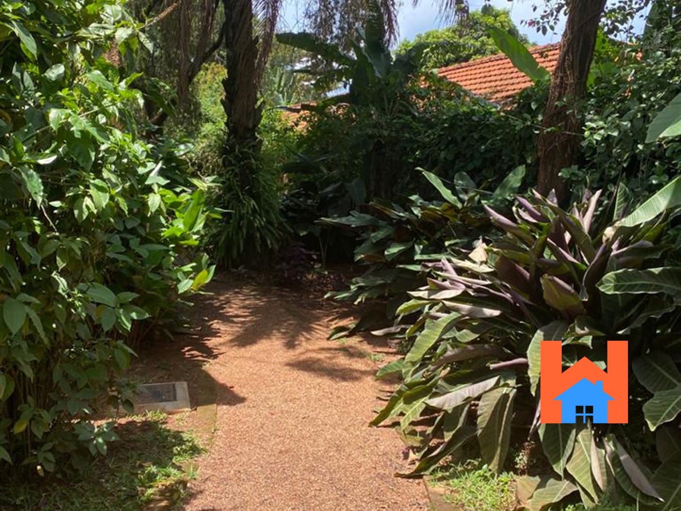 Bungalow for rent in Kololo Kampala