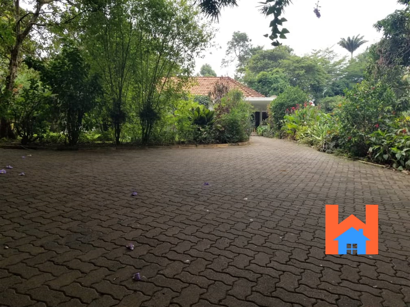 Bungalow for rent in Kololo Kampala