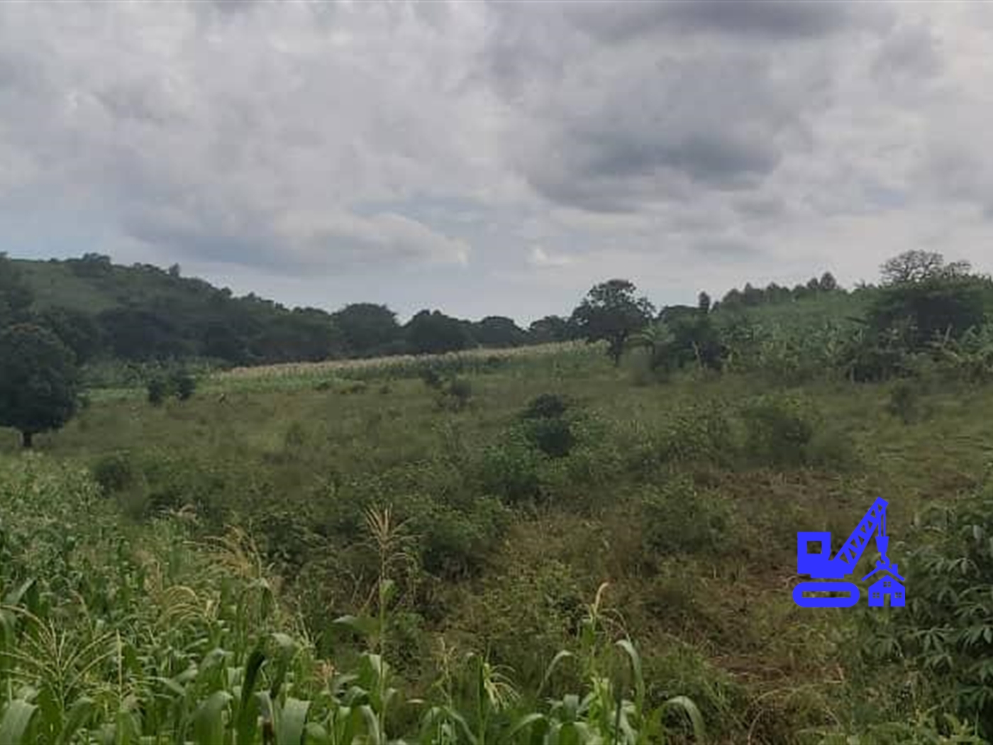 Multipurpose Land for sale in Maya Masaka