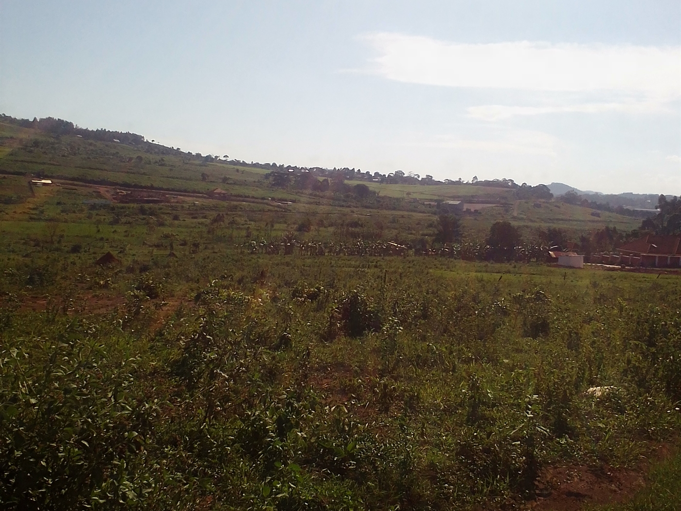 Residential Land for sale in Kitende Wakiso