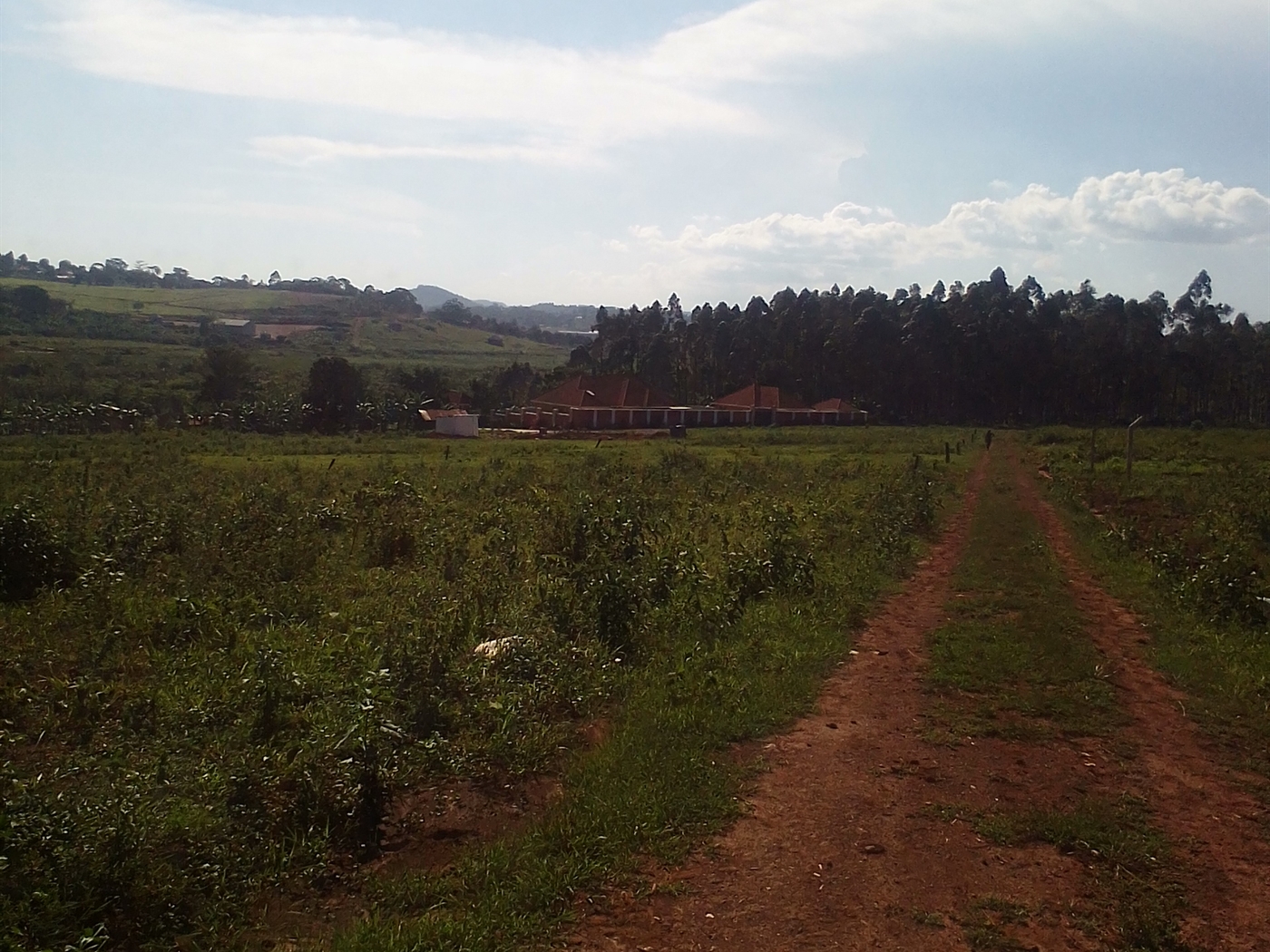 Residential Land for sale in Kitende Wakiso