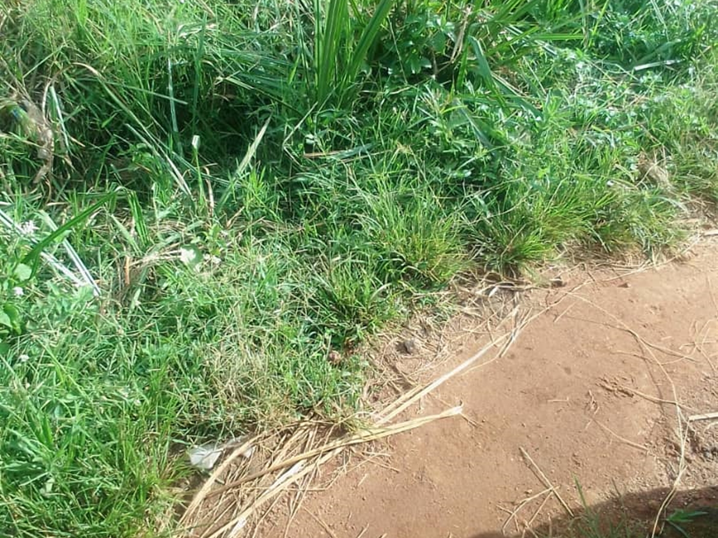 Residential Land for sale in Mutundwe Kampala