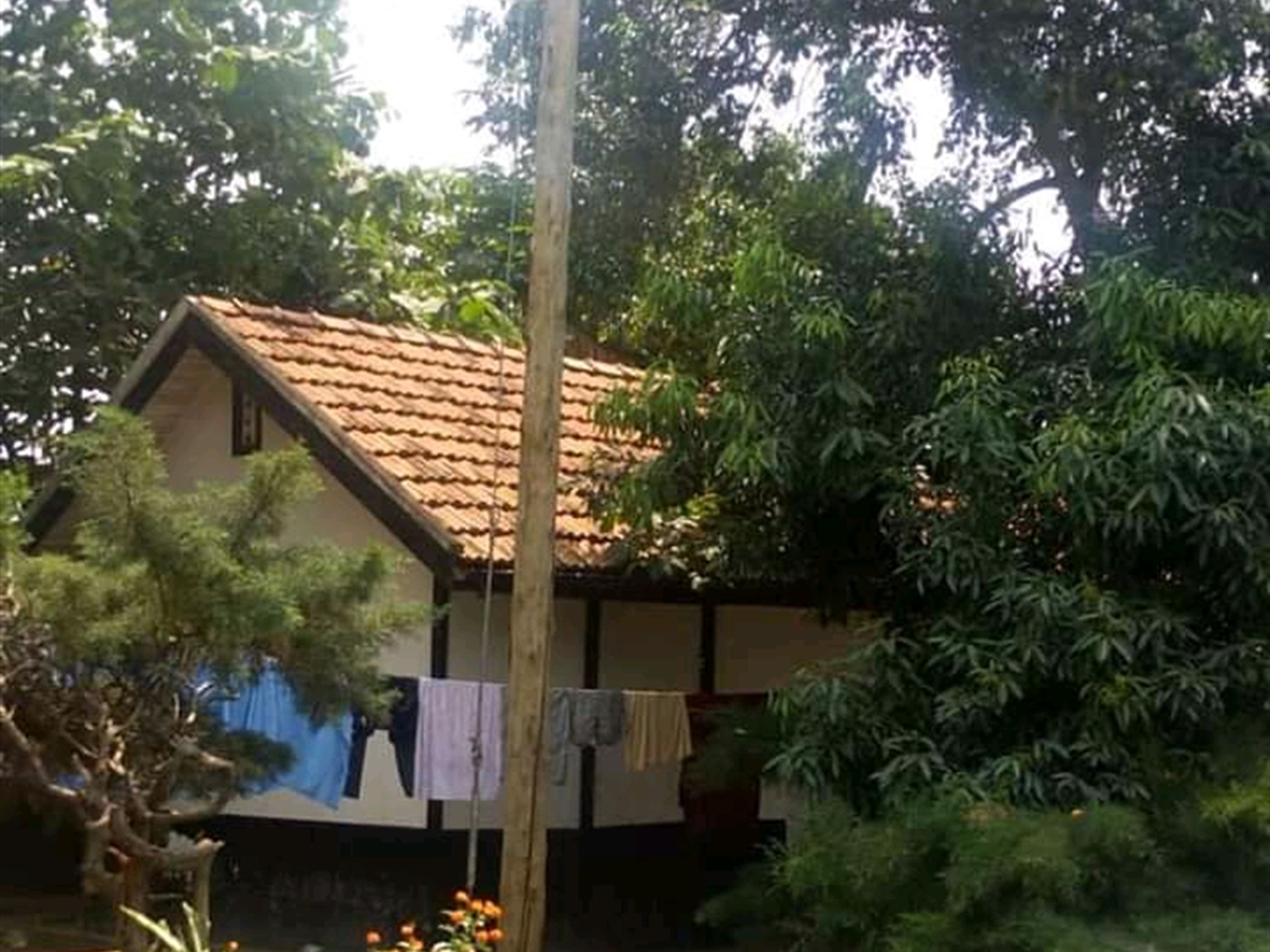 Bungalow for sale in Muyenga Kampala