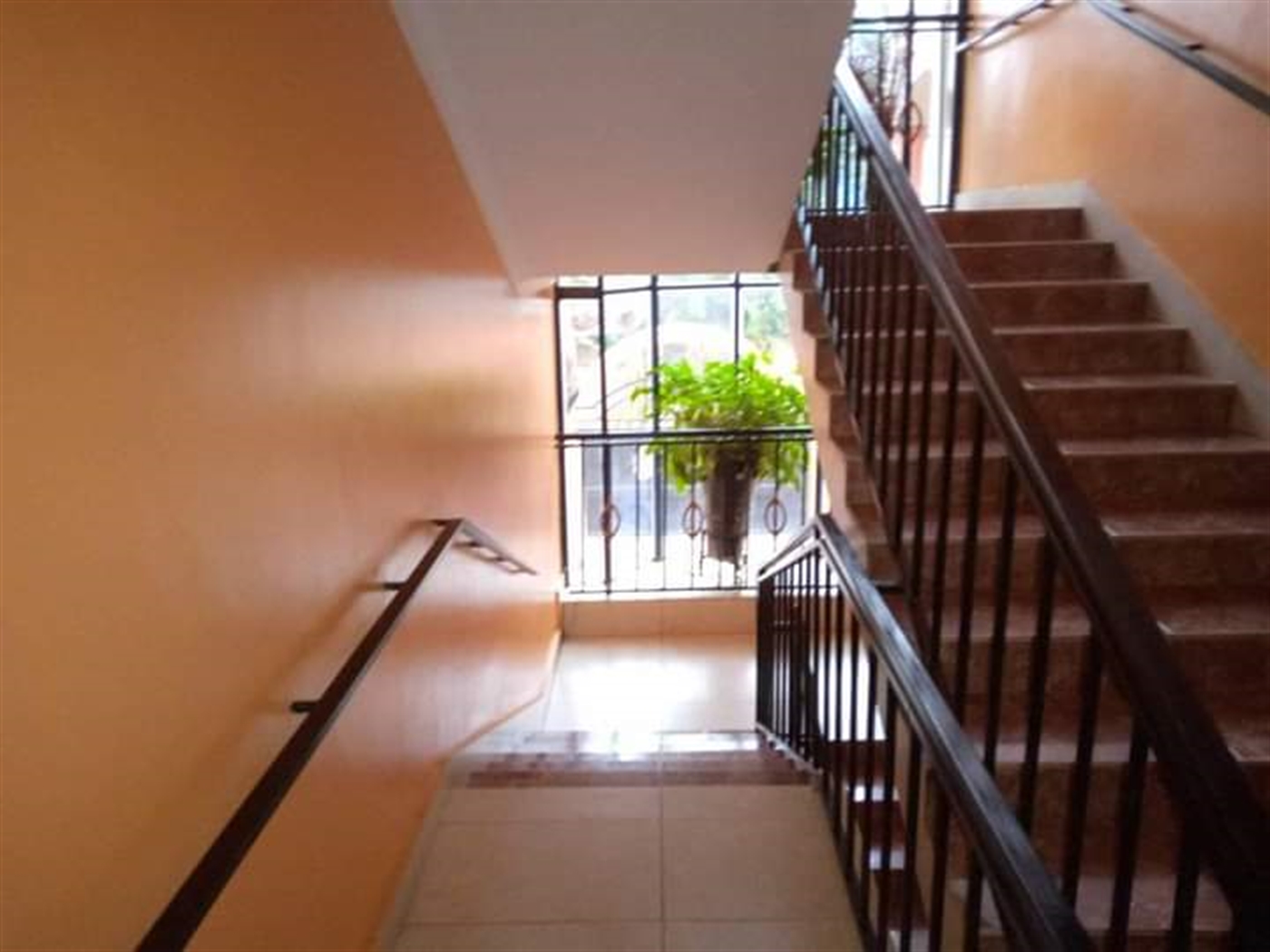 Apartment for rent in Muyenga Kampala