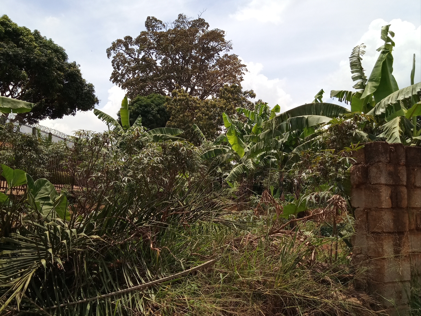 Residential Land for sale in Makindye Kampala