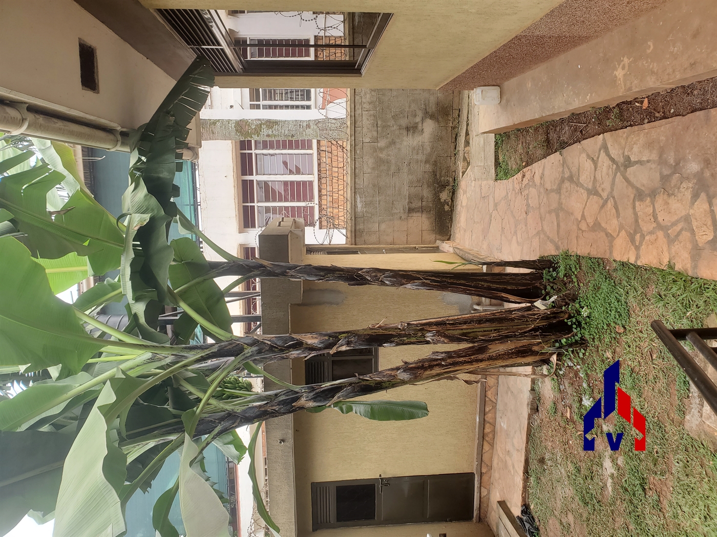 Bungalow for rent in Muyenga Kampala