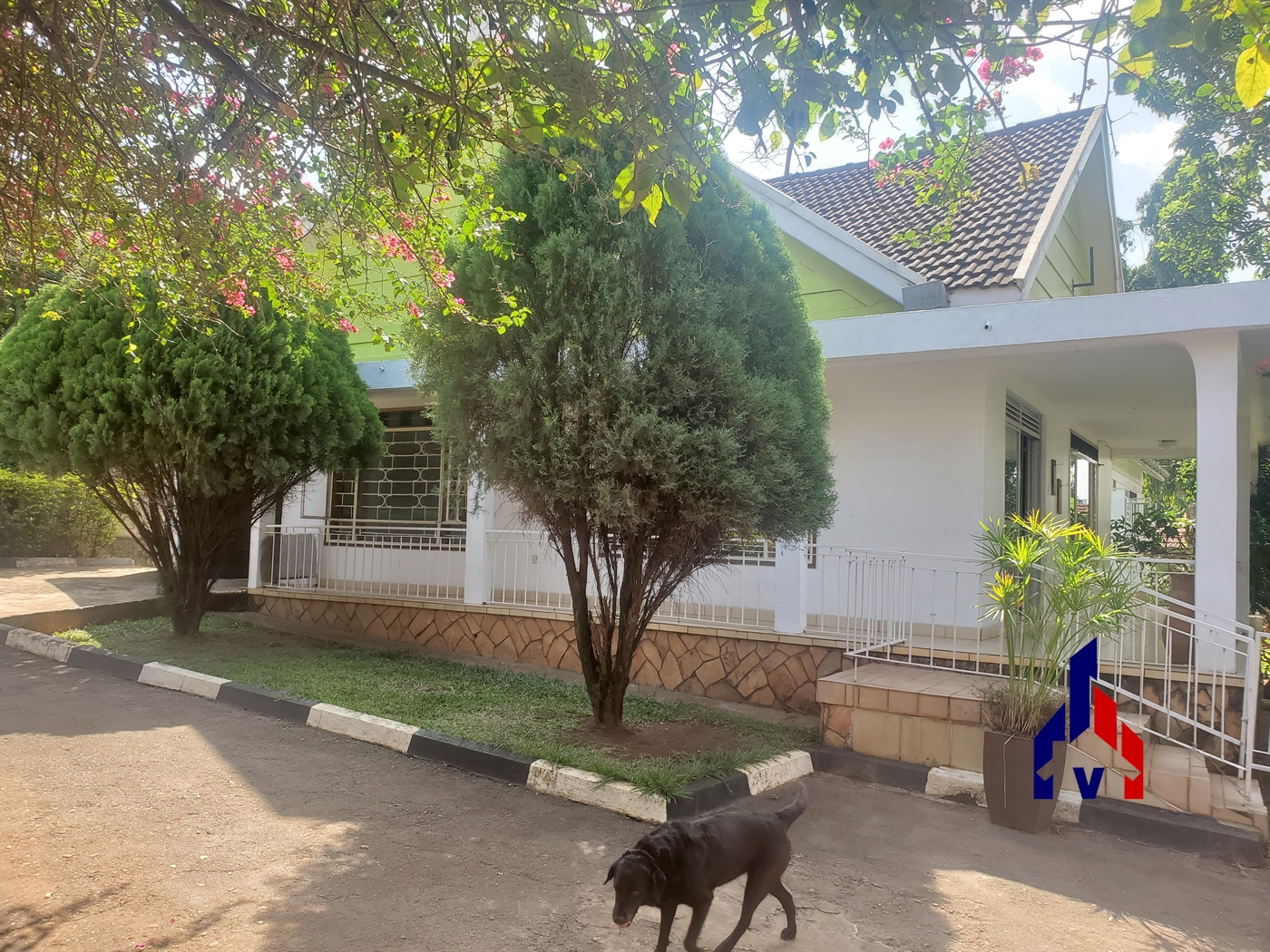 Bungalow for rent in Muyenga Kampala