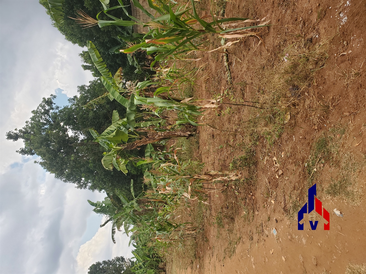 Residential Land for sale in Bukasa Kampala