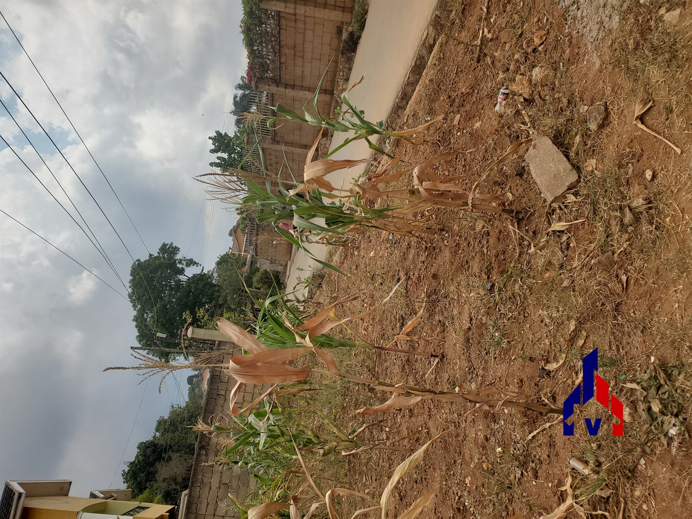 Residential Land for sale in Bukasa Kampala