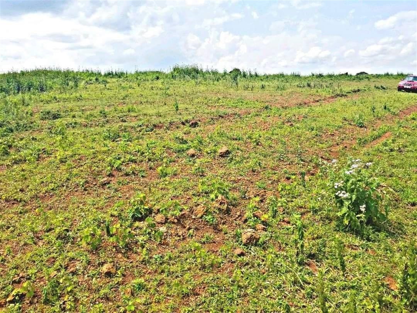 Multipurpose Land for sale in Lugazi Buyikwe