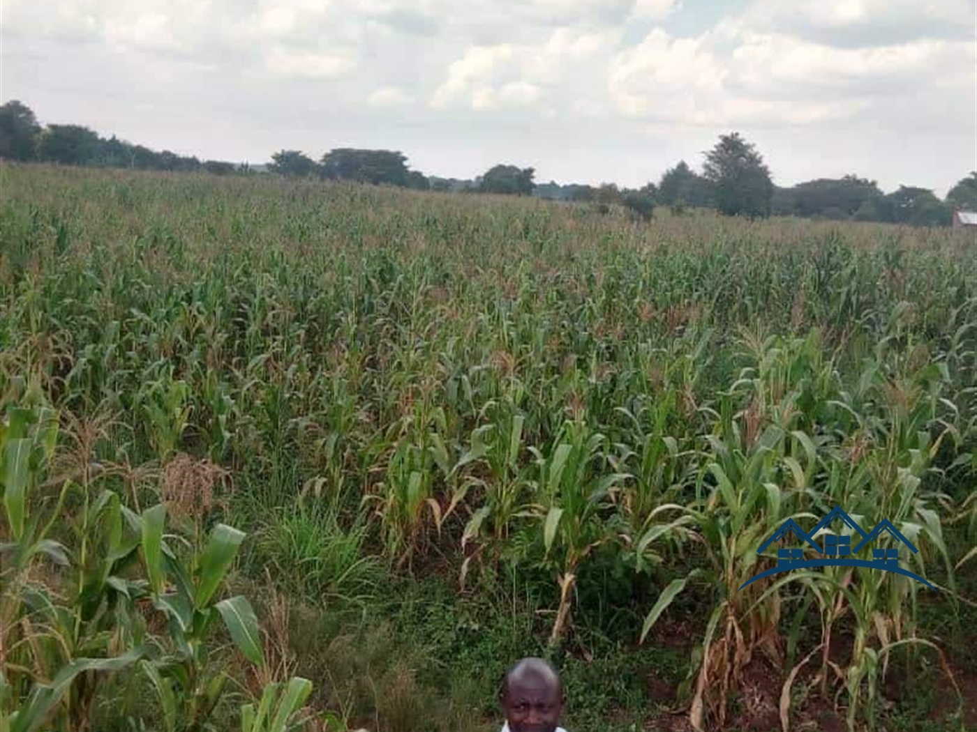 Agricultural Land for sale in Kyenda Kiboga