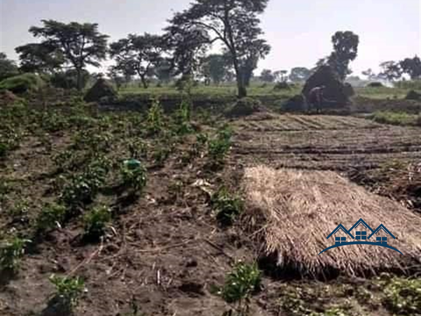 Agricultural Land for sale in Bukomelo Wakiso