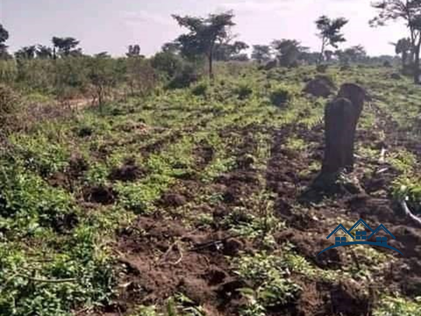 Agricultural Land for sale in Bukomelo Wakiso