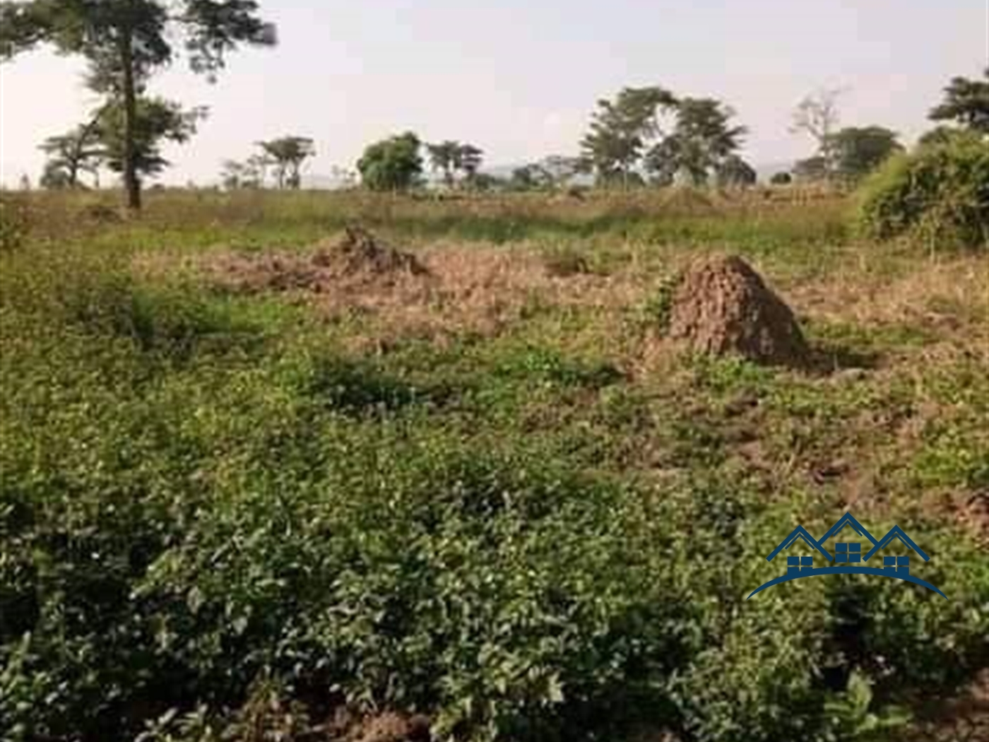 Agricultural Land for sale in Bukomelo Wakiso
