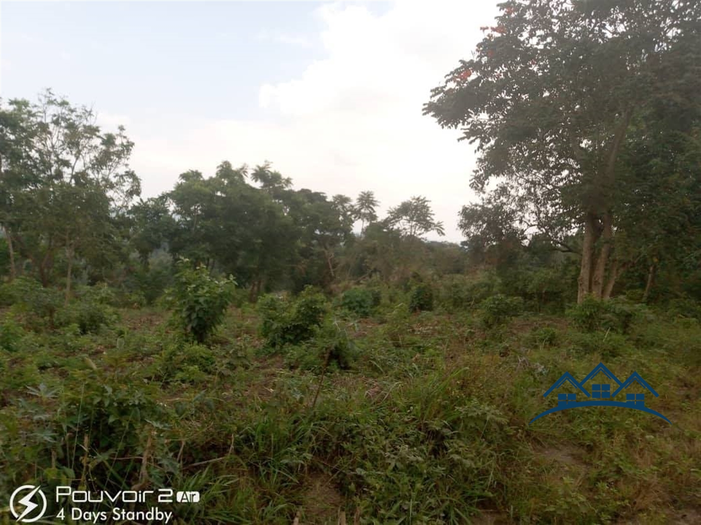 Agricultural Land for sale in Ndejje Luweero