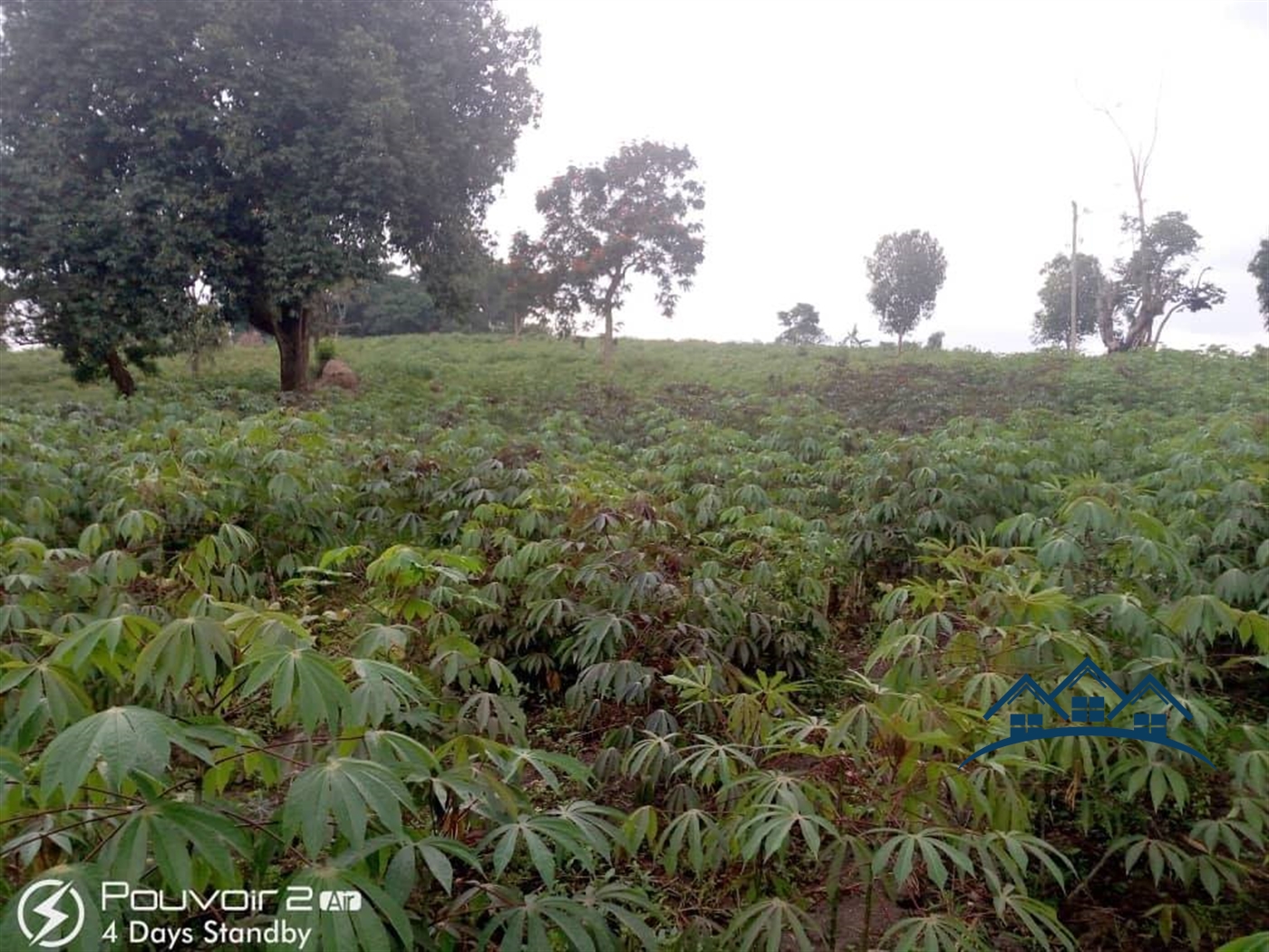 Agricultural Land for sale in Ndejje Luweero