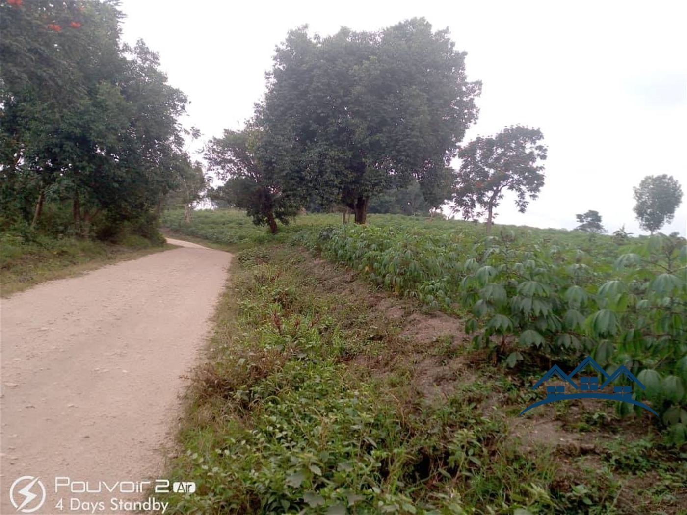 Agricultural Land for sale in Ndejje Luweero