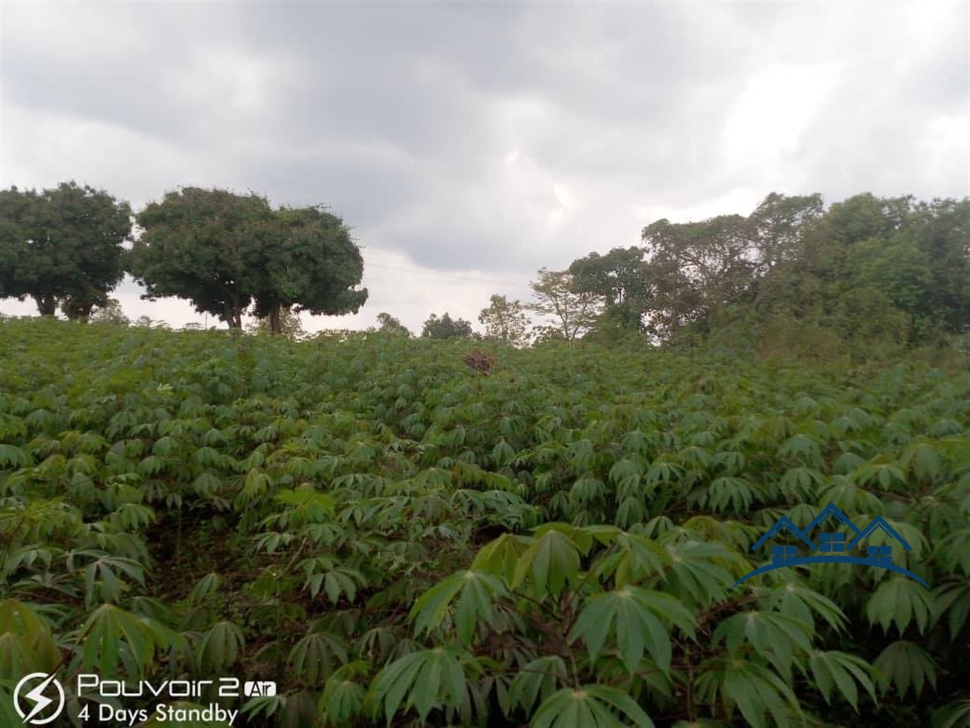 Agricultural Land for sale in Ndejje Luweero