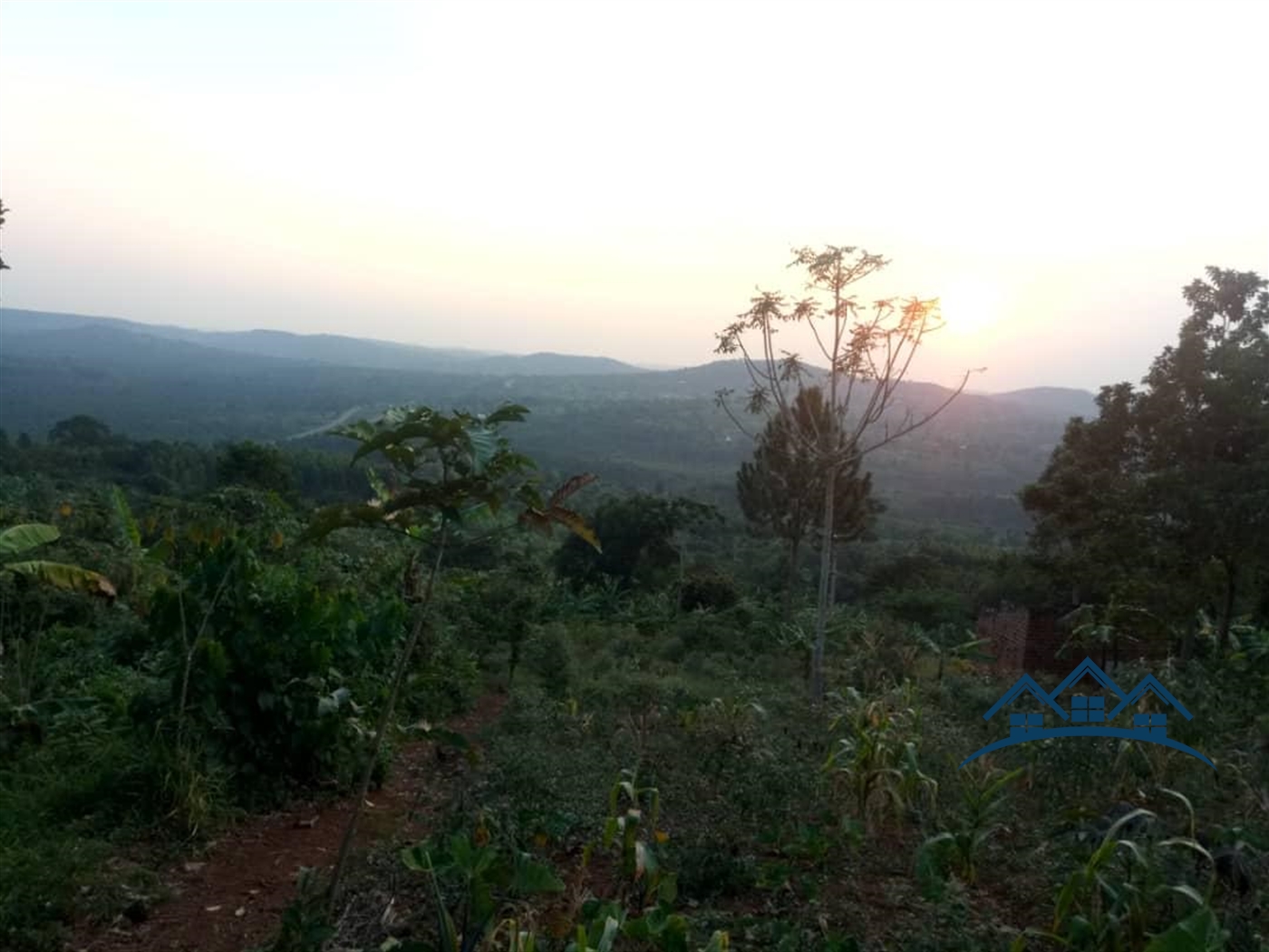 Multipurpose Land for sale in Seeta Butambala