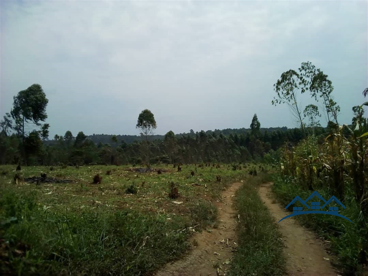 Agricultural Land for sale in Buddugala Mukono